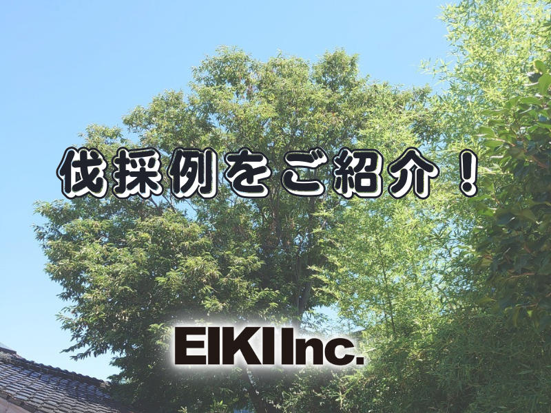 富山市の解体工事屋EIKI Inc. 植栽伐採