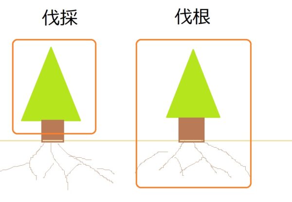 伐根と伐採の違いを図示