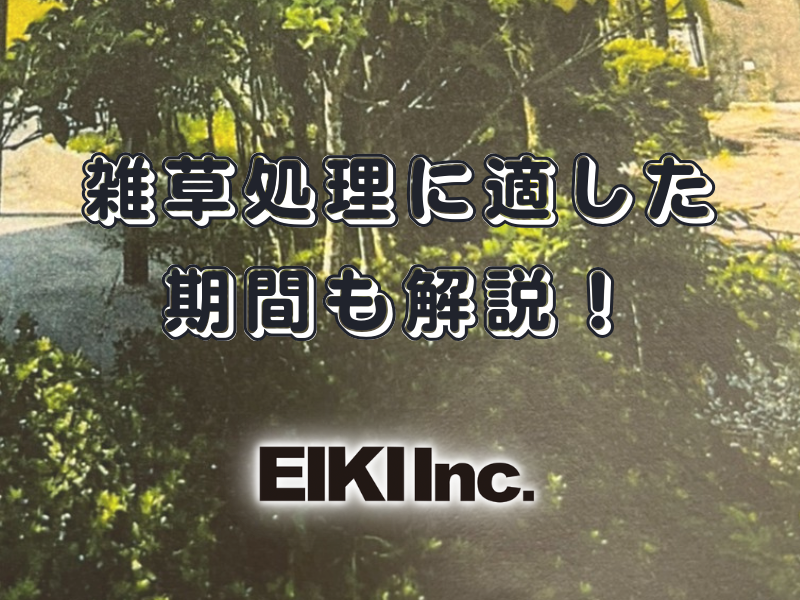 富山市の解体工事屋EIKI Inc. 雑草処理