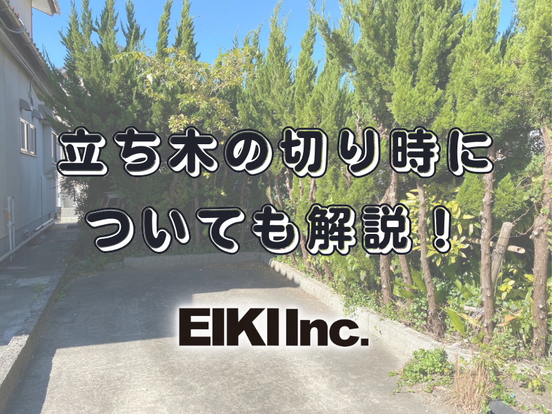 富山市の解体工事屋EIKI Inc.　植栽調整