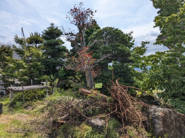 富山の株式会社エイキ　お庭の解体工事