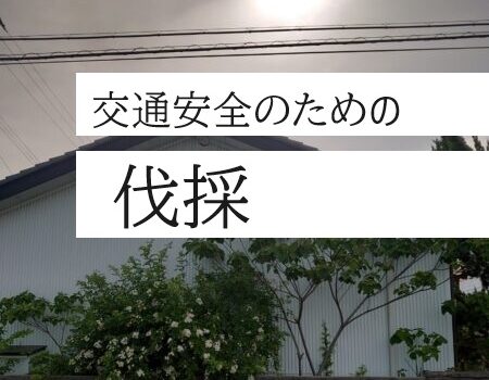 敷地からはみ出た植栽を伐採する目的は、交通の安全。