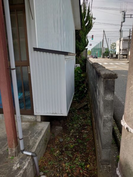 歩道にはみ出した植栽を撤去１