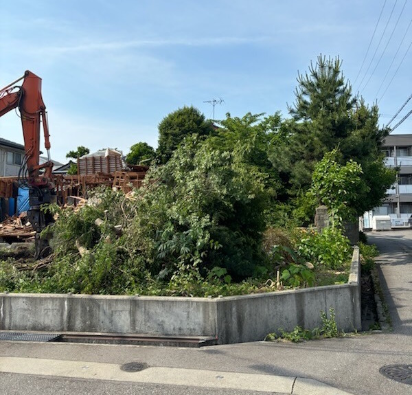 富山市の植栽撤去中の画像。